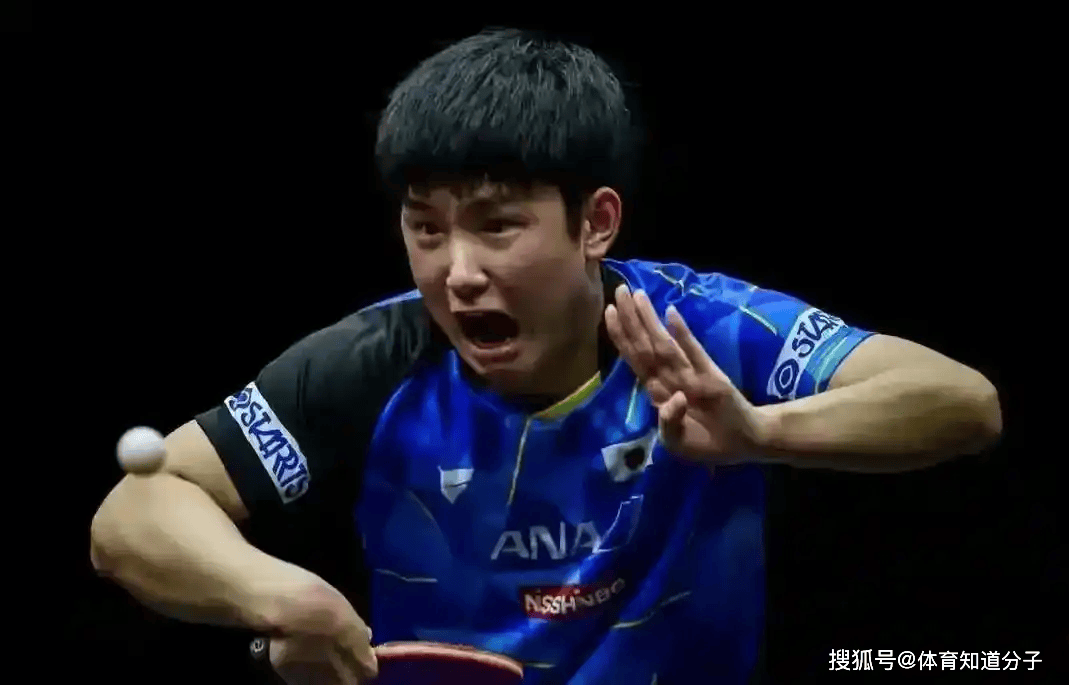 法国乒乓球队血洗日本乒乓球队,张本智和爆发神勇的简单介绍 法国乒乓球队血洗日本乒乓球队,张本智和爆发神勇的简单介绍