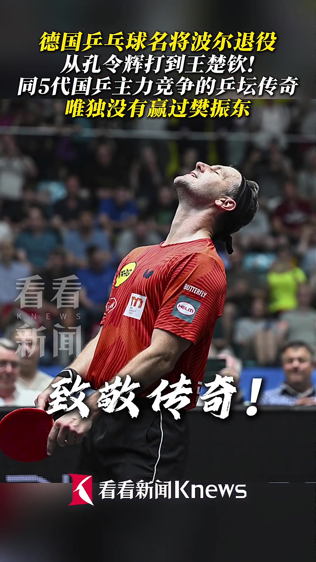 包含奥地利乒乓球队完胜日本乒乓球队,波尔送出助攻的词条 包含奥地利乒乓球队完胜日本乒乓球队,波尔送出助攻的词条