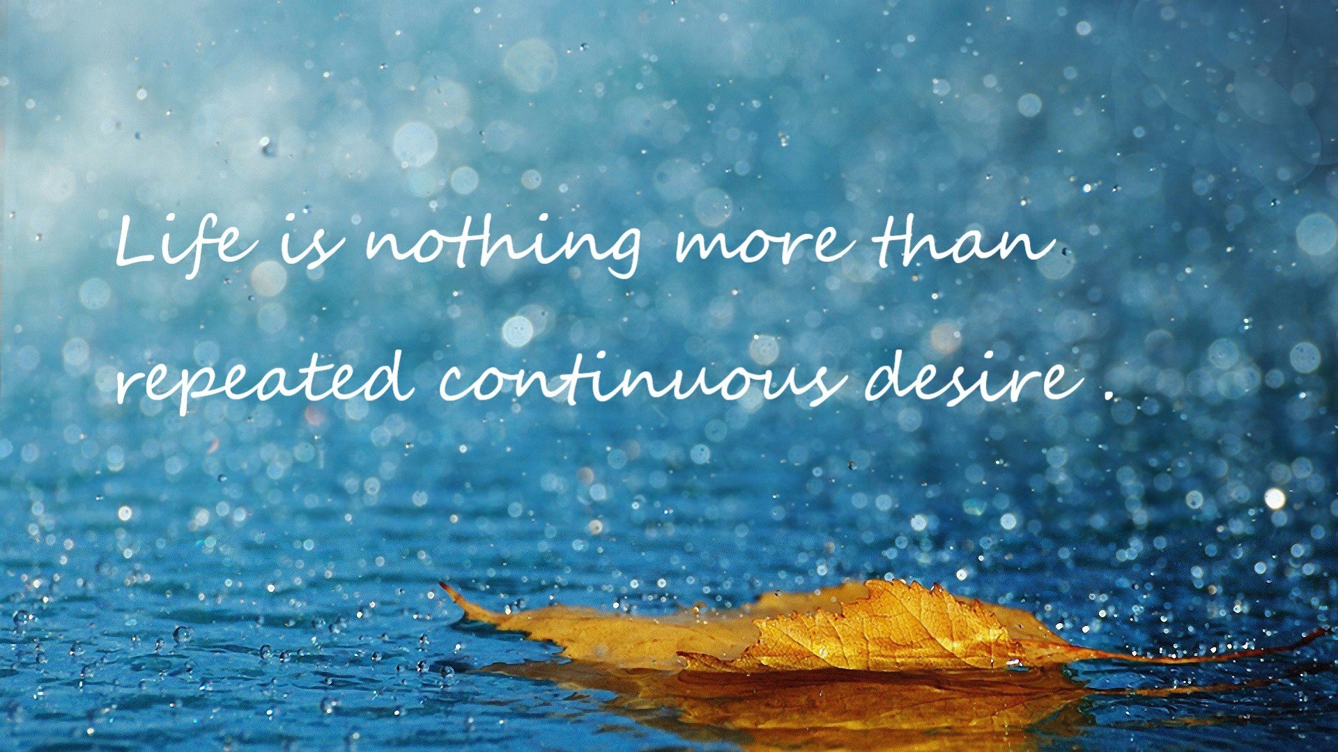 联合杯鏖战，年终总决赛前哨，穆雷以最年长纪录书写不朽