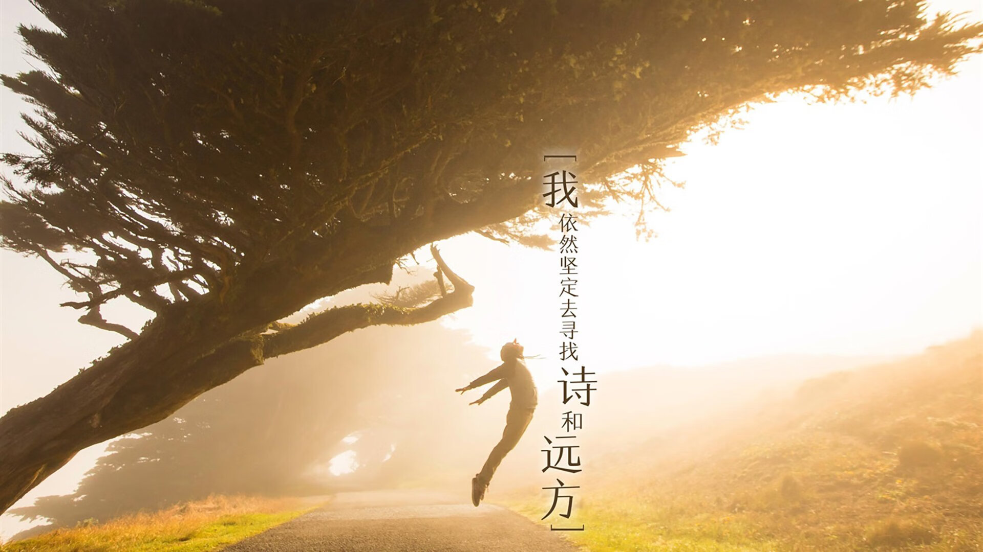 逆袭与王权，梅赛德斯的绝地反击与诺里斯的绝对统治