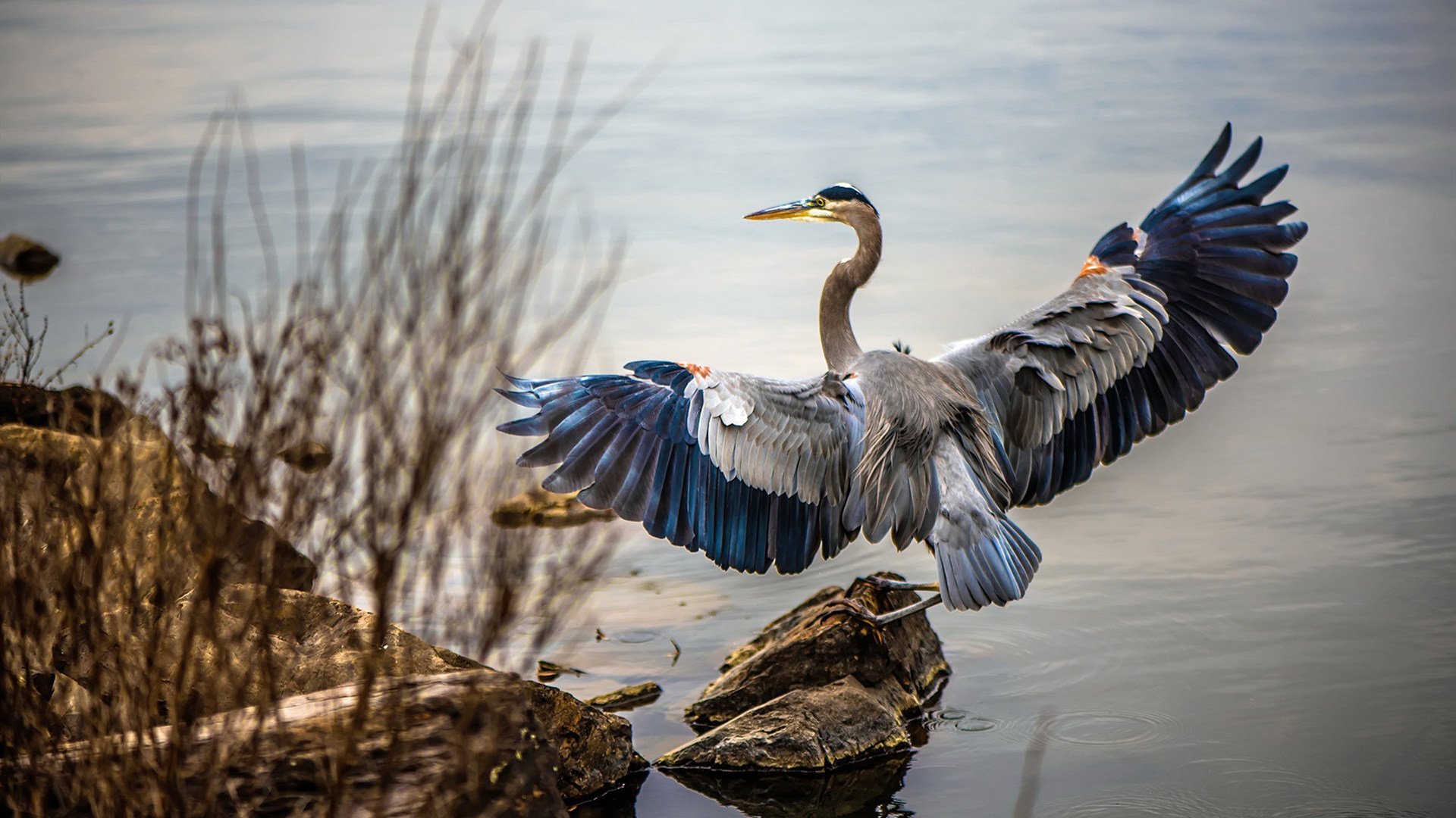 北欧逆转，从法国巴黎到中国成都