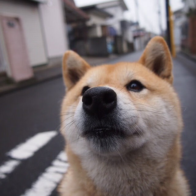 奥运周期关键战之夜,莫兰特刷新纪录的光辉时刻