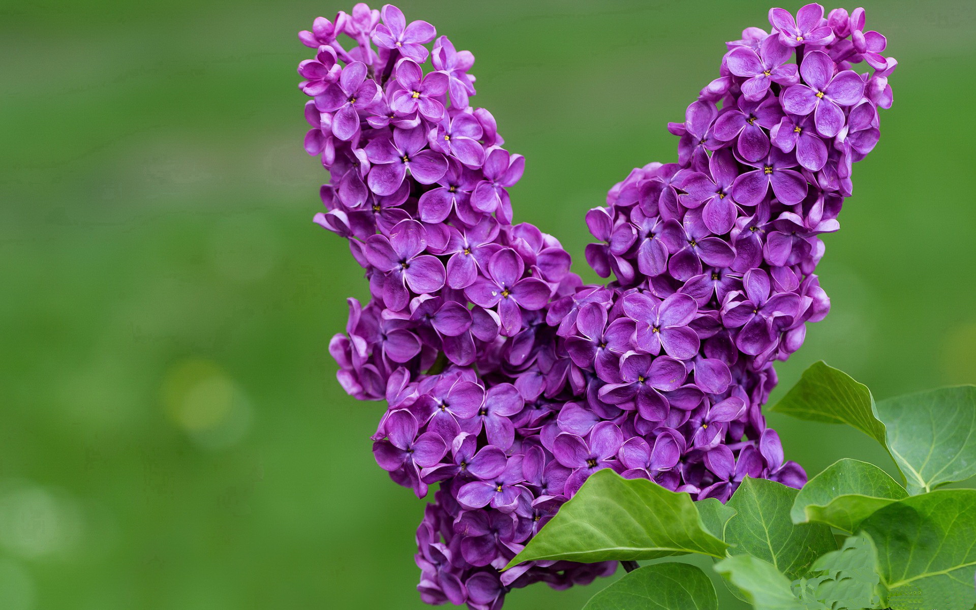 分秒之间的永恒主宰