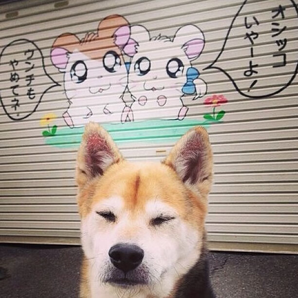 铁血圣殿与传控神庙，当毕尔巴鄂的铁矛刺向利物浦的丝绸，皮克在纪录之巅凝望旧日河山