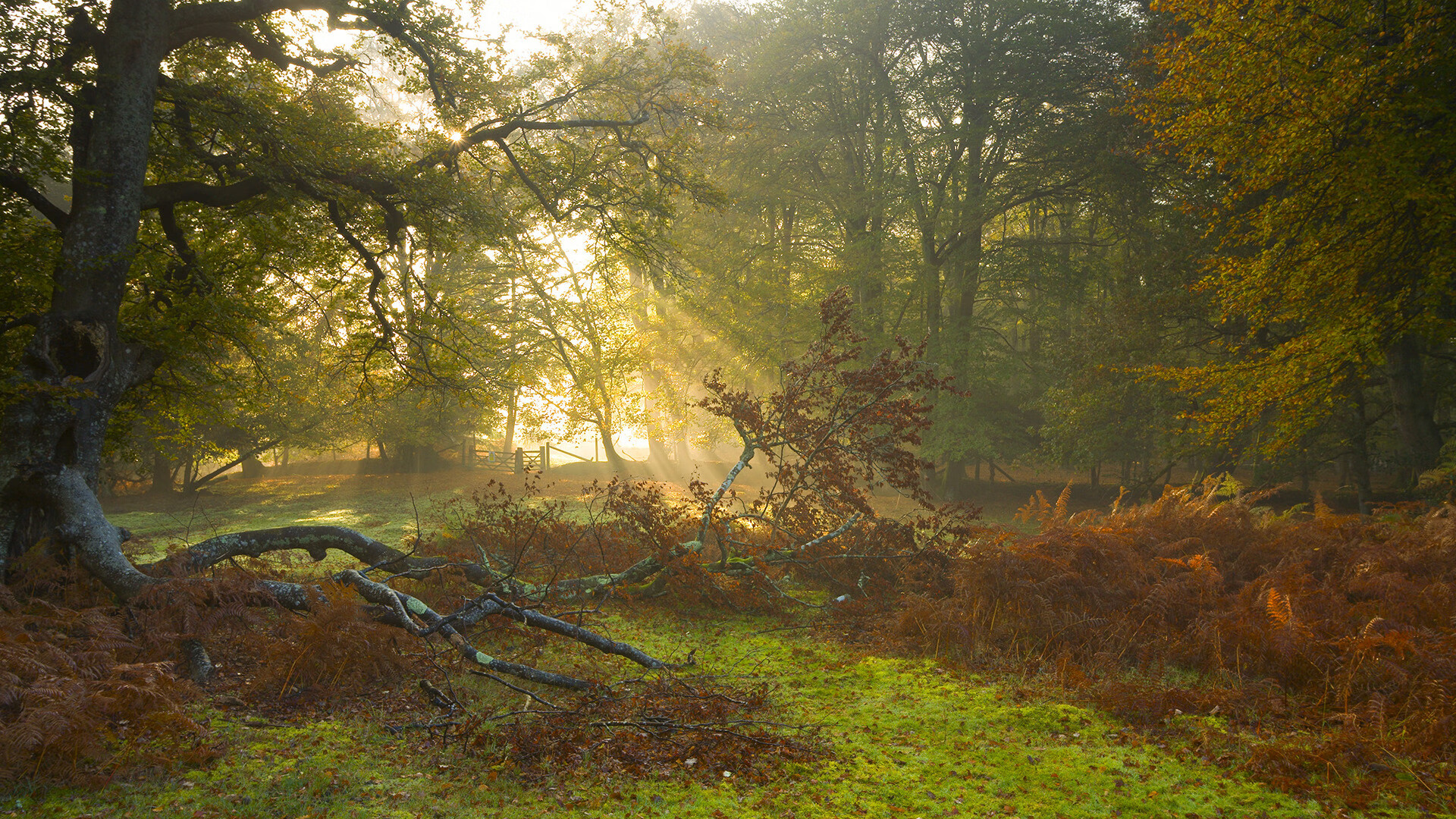 沉默刺客的最后两秒，西亚卡姆如何用一记冷血跳投终结东决悬念