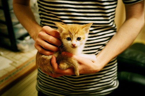 萨卡的魔力，用足球世界的唯一性解开一场出人意料的速度之战