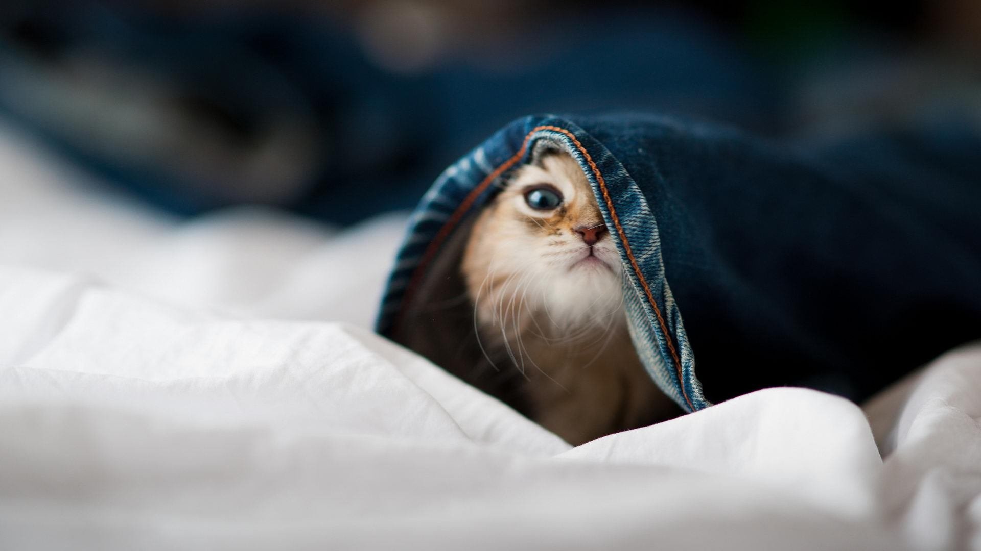 欧冠决赛夜,寂静的9分钟,与敲响天堂大门的13分