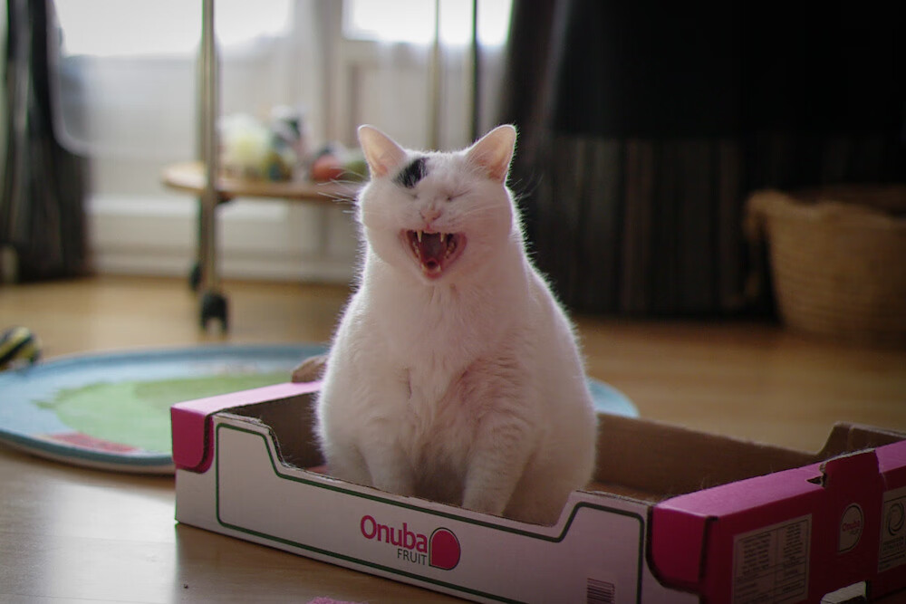 看不见的对手,哈登的自我救赎与另一片战场