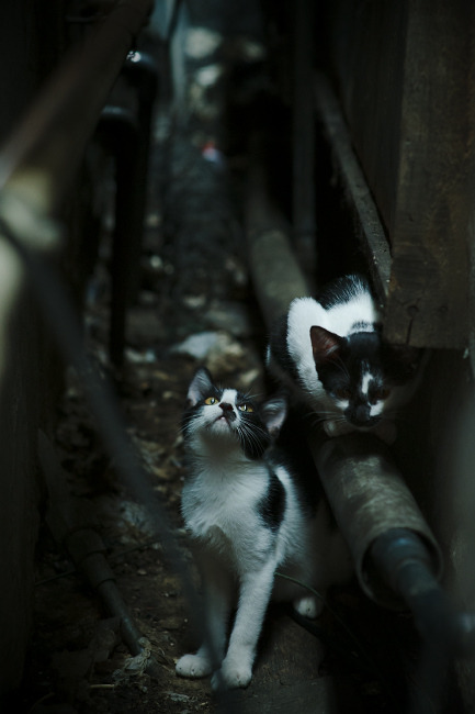 当斯通斯化身烈焰，冷冽北风如何冻结波兰最后三分钟？