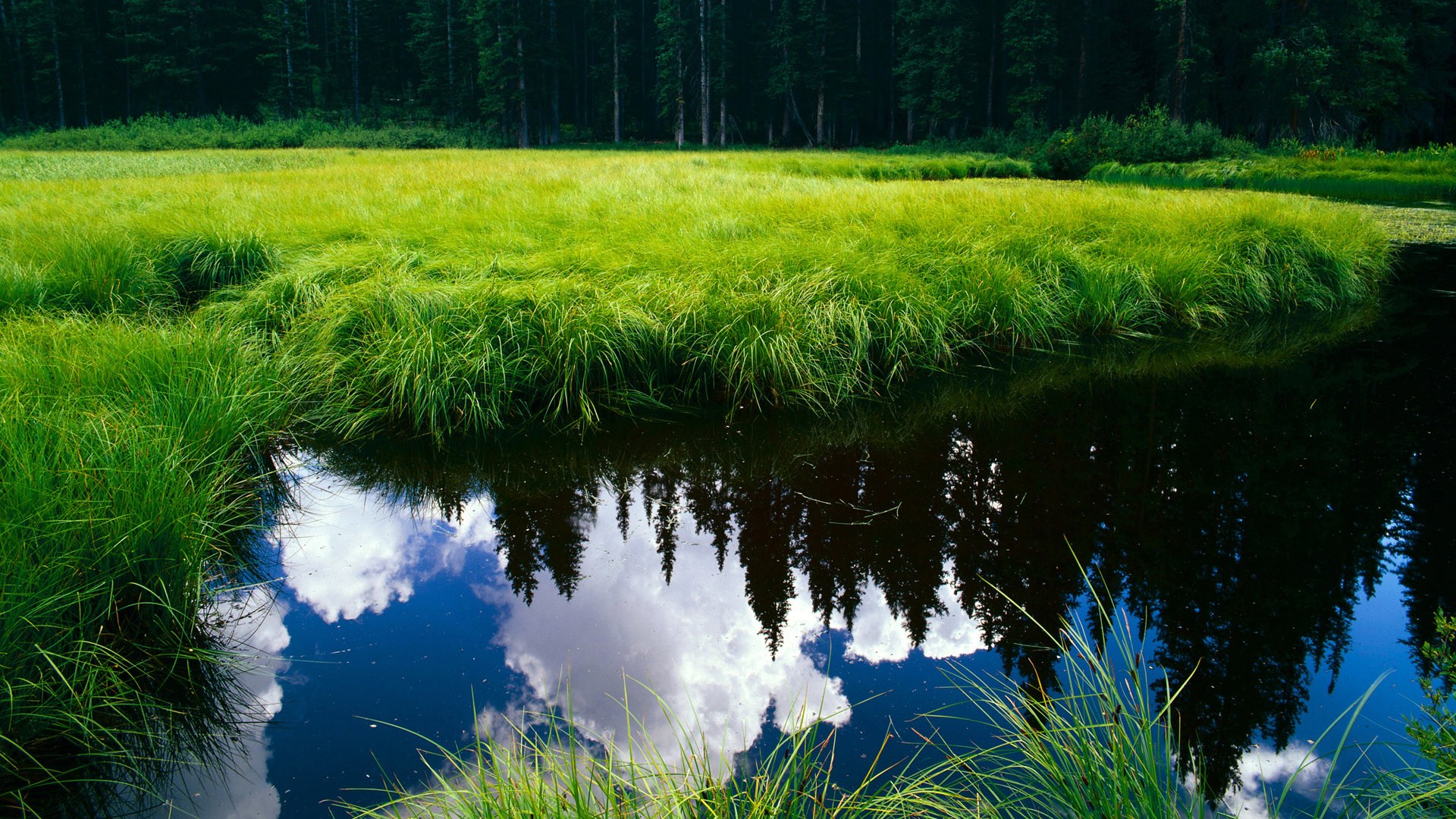 倒悬的星河，东决关键战之夜，拉梅洛如何让最强防线形同虚设？