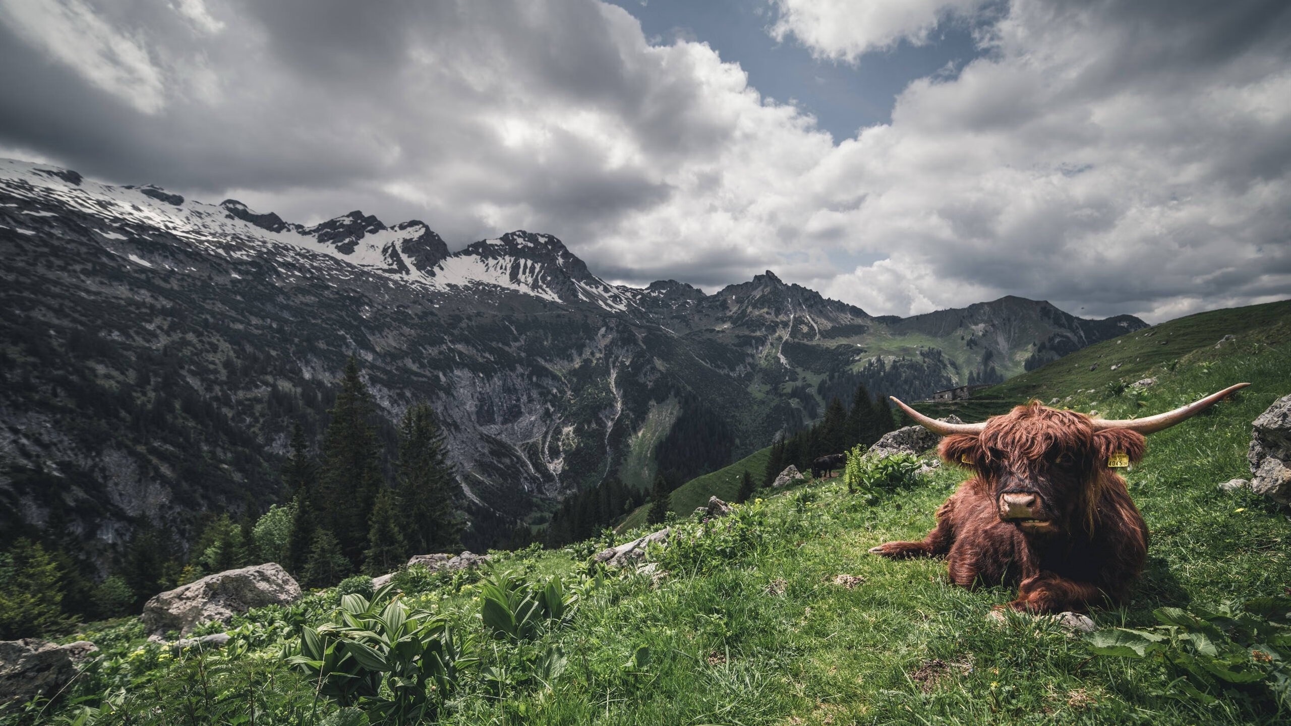 当世界线收束于杭州奥体，利拉德半场11记三分，爵士爆冷掀翻浙江队