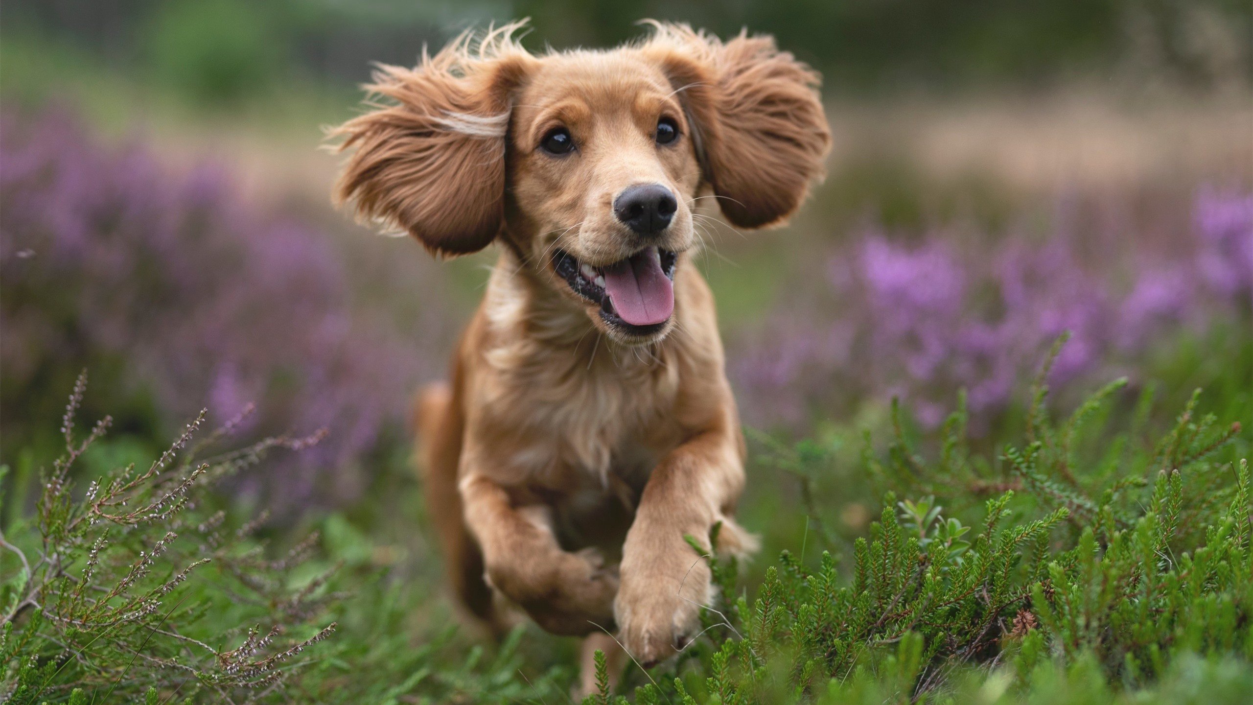 当世界线收束于杭州奥体，利拉德半场11记三分，爵士爆冷掀翻浙江队