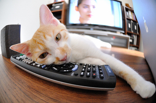 年度焦点之战之夜，莱万全程高能输出，铸就绿茵传奇