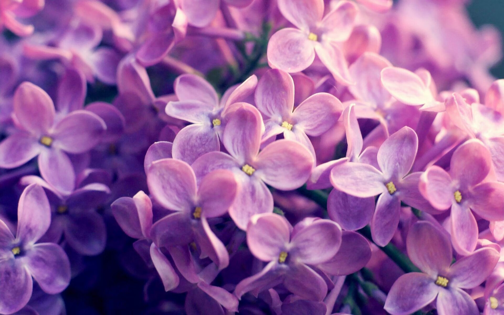 当篮球之巅的交锋映射绿茵场，广厦压哨与锡安接管启示录