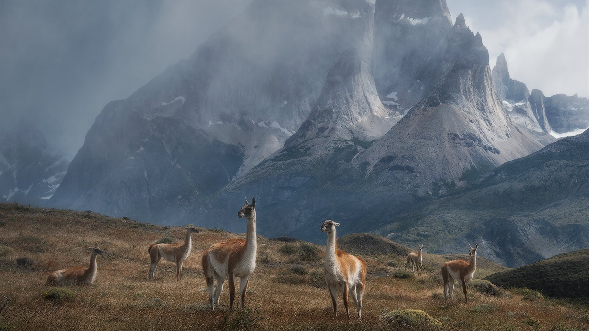 意甲焦点战之夜，阿坎吉铸就防守艺术，教科书表现定义现代中卫