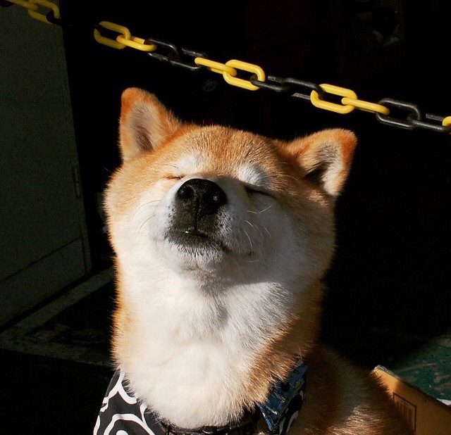 萨卡的魔法,在厄瓜多尔对阵爱尔兰的友谊赛中展现冠军级表现