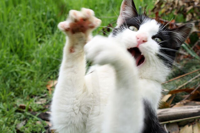 约基奇三双封神夜，76人逆转灰熊的五个决定性瞬间