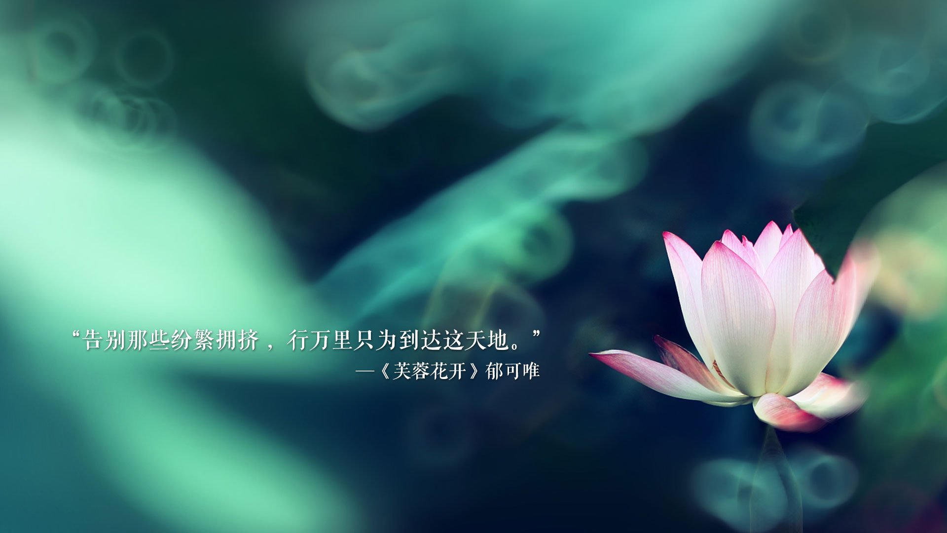 横跨国家的荣耀之战,当巴斯克铁骑遇见欧洲红魔,门迪筑起叹息之墙